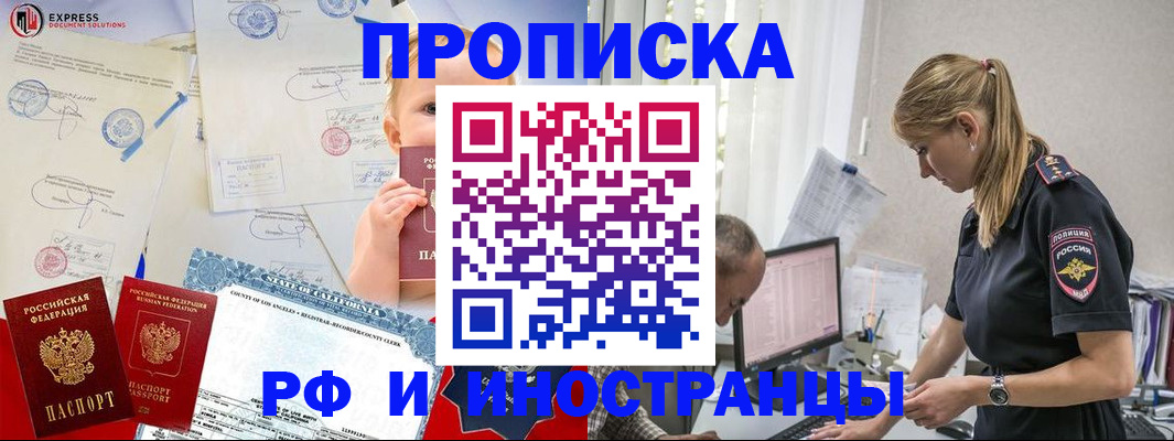 купить прописку в Елизово